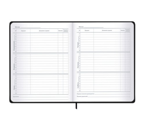 Дневник 1-11 класс 48 л., твердый, BRAUBERG, матовая ламинация, резинка, закладка-ляссе, с подсказом, 