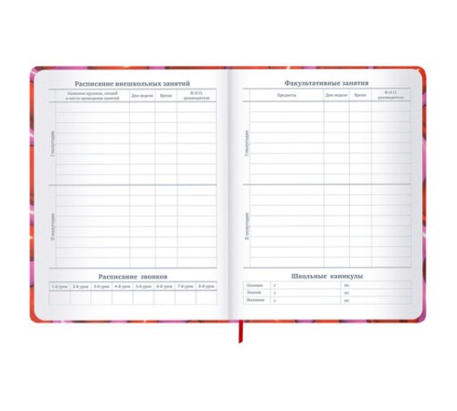 Дневник 1-11 класс 48 л., твердый, BRAUBERG, матовая ламинация, резинка, закладка-ляссе, с подсказом, 