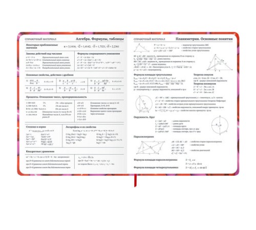 Дневник 1-11 класс 48 л., твердый, BRAUBERG, матовая ламинация, резинка, закладка-ляссе, с подсказом, 