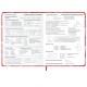 Дневник 1-11 класс 48 л., твердый, BRAUBERG, матовая ламинация, резинка, закладка-ляссе, с подсказом, 