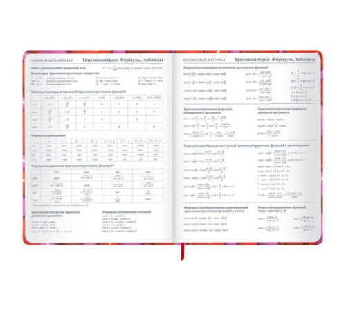 Дневник 1-11 класс 48 л., твердый, BRAUBERG, матовая ламинация, резинка, закладка-ляссе, с подсказом, 