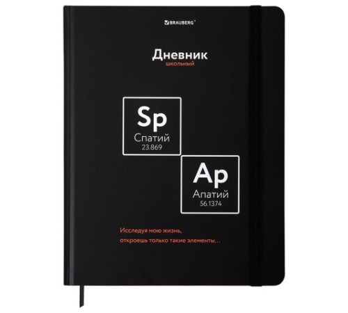 Дневник 1-11 класс 48 л., твердый, BRAUBERG, матовая ламинация, резинка, закладка-ляссе, с подсказом, 