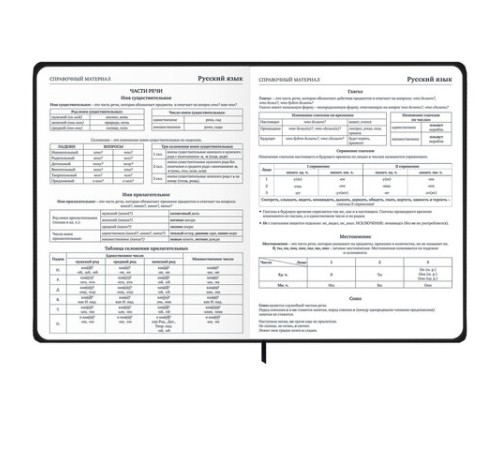 Дневник 1-11 класс 48 л., твердый, BRAUBERG, матовая ламинация, резинка, закладка-ляссе, с подсказом, 