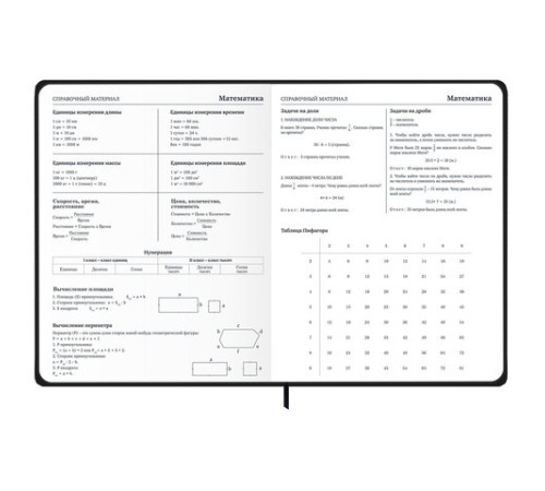 Дневник 1-11 класс 48 л., твердый, BRAUBERG, матовая ламинация, резинка, закладка-ляссе, с подсказом, 