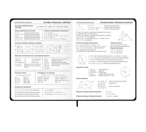 Дневник 1-11 класс 48 л., твердый, BRAUBERG, матовая ламинация, резинка, закладка-ляссе, с подсказом, 