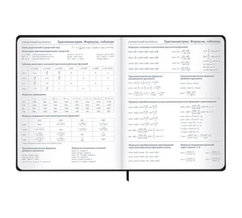 Дневник 1-11 класс 48 л., твердый, BRAUBERG, матовая ламинация, резинка, закладка-ляссе, с подсказом, 