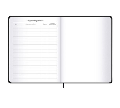 Дневник 1-11 класс 48 л., твердый, BRAUBERG, матовая ламинация, резинка, закладка-ляссе, с подсказом, 