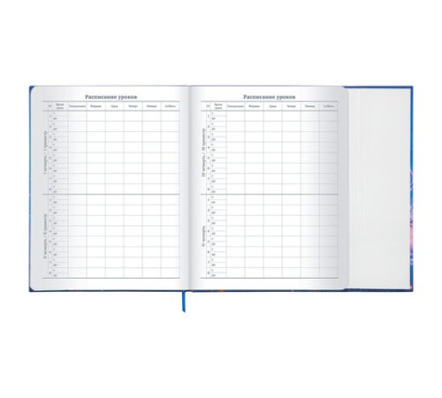 Дневник 1-11 класс 48 л., твердый, BRAUBERG, матовая ламинация, магнитный клапан, закладка-ляссе, с подсказом, 