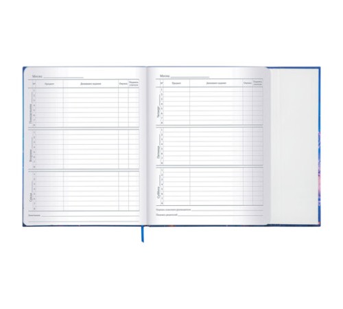 Дневник 1-11 класс 48 л., твердый, BRAUBERG, матовая ламинация, магнитный клапан, закладка-ляссе, с подсказом, 