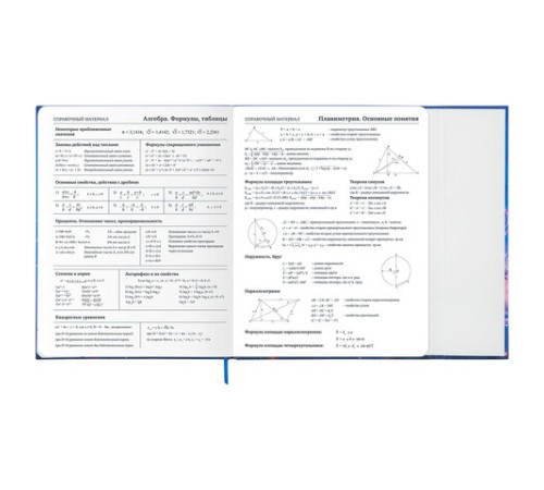 Дневник 1-11 класс 48 л., твердый, BRAUBERG, матовая ламинация, магнитный клапан, закладка-ляссе, с подсказом, 