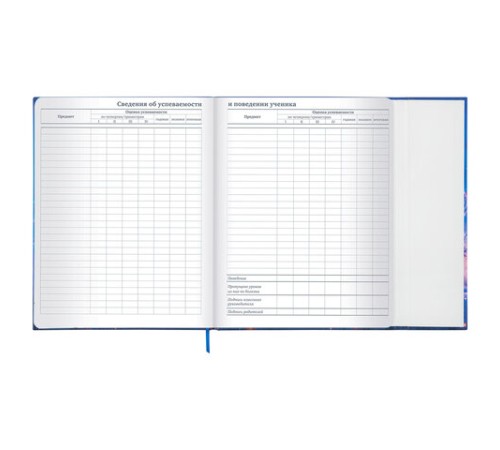 Дневник 1-11 класс 48 л., твердый, BRAUBERG, матовая ламинация, магнитный клапан, закладка-ляссе, с подсказом, 