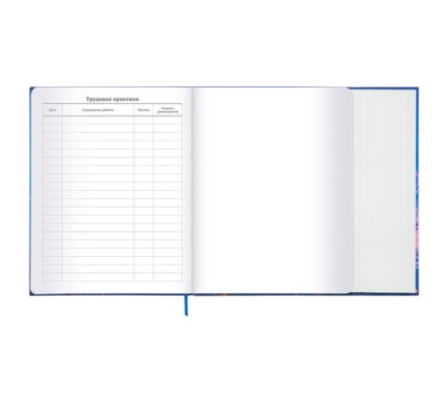 Дневник 1-11 класс 48 л., твердый, BRAUBERG, матовая ламинация, магнитный клапан, закладка-ляссе, с подсказом, 