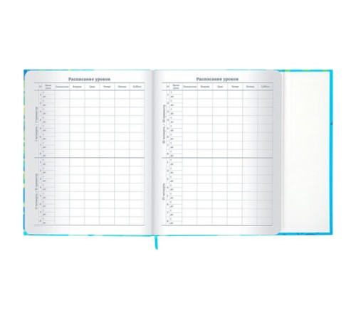 Дневник 1-11 класс 48 л., твердый, BRAUBERG, матовая ламинация, магнитный клапан, закладка-ляссе, с подсказом, 