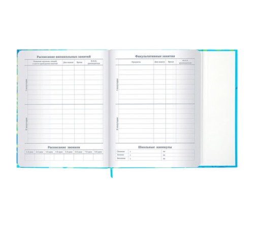 Дневник 1-11 класс 48 л., твердый, BRAUBERG, матовая ламинация, магнитный клапан, закладка-ляссе, с подсказом, 