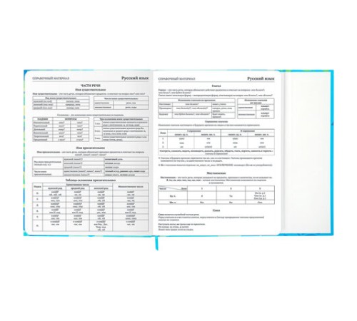 Дневник 1-11 класс 48 л., твердый, BRAUBERG, матовая ламинация, магнитный клапан, закладка-ляссе, с подсказом, 