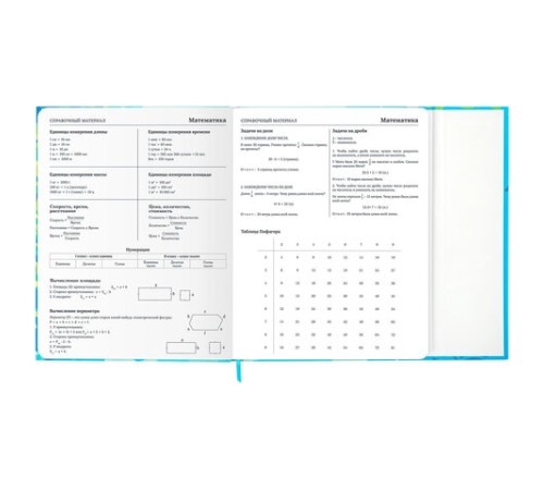Дневник 1-11 класс 48 л., твердый, BRAUBERG, матовая ламинация, магнитный клапан, закладка-ляссе, с подсказом, 