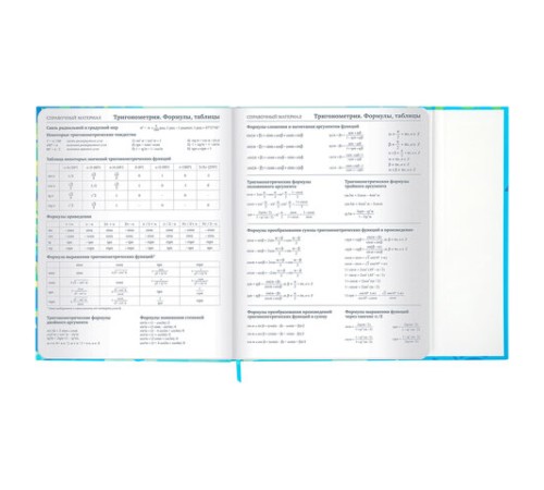 Дневник 1-11 класс 48 л., твердый, BRAUBERG, матовая ламинация, магнитный клапан, закладка-ляссе, с подсказом, 