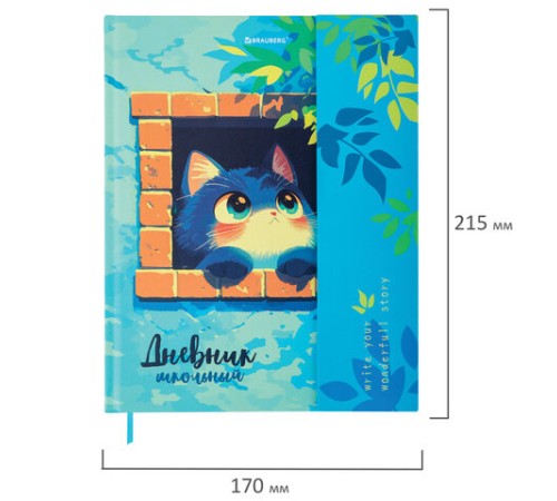 Дневник 1-11 класс 48 л., твердый, BRAUBERG, матовая ламинация, магнитный клапан, закладка-ляссе, с подсказом, 