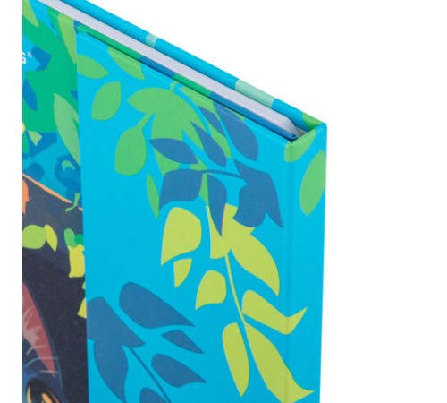 Дневник 1-11 класс 48 л., твердый, BRAUBERG, матовая ламинация, магнитный клапан, закладка-ляссе, с подсказом, 