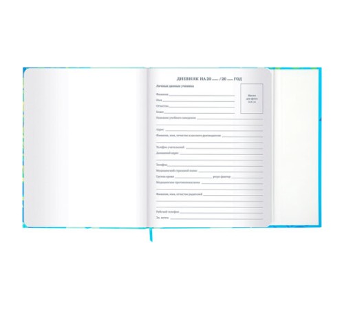 Дневник 1-11 класс 48 л., твердый, BRAUBERG, матовая ламинация, магнитный клапан, закладка-ляссе, с подсказом, 