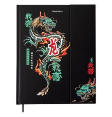 Дневник 1-11 класс 48 л., твердый, BRAUBERG, матовая ламинация, магнитный клапан, закладка-ляссе, с подсказом, 