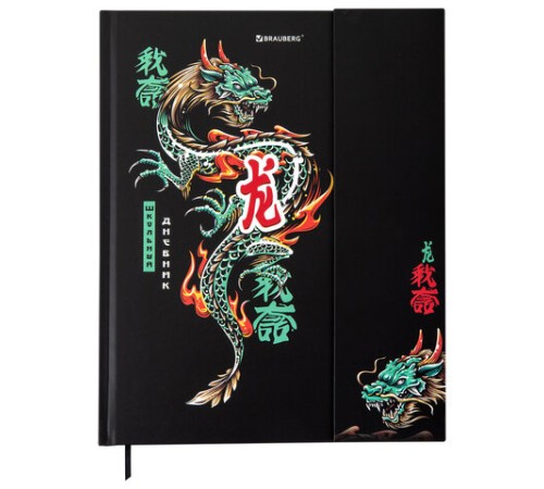 Дневник 1-11 класс 48 л., твердый, BRAUBERG, матовая ламинация, магнитный клапан, закладка-ляссе, с подсказом, 