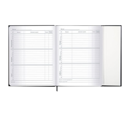 Дневник 1-11 класс 48 л., твердый, BRAUBERG, матовая ламинация, магнитный клапан, закладка-ляссе, с подсказом, 