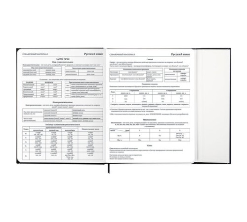 Дневник 1-11 класс 48 л., твердый, BRAUBERG, матовая ламинация, магнитный клапан, закладка-ляссе, с подсказом, 