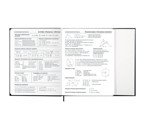 Дневник 1-11 класс 48 л., твердый, BRAUBERG, матовая ламинация, магнитный клапан, закладка-ляссе, с подсказом, 