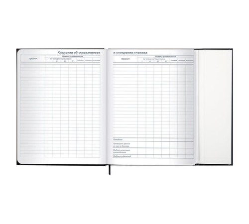 Дневник 1-11 класс 48 л., твердый, BRAUBERG, матовая ламинация, магнитный клапан, закладка-ляссе, с подсказом, 