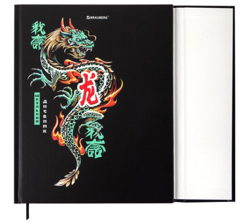 Дневник 1-11 класс 48 л., твердый, BRAUBERG, матовая ламинация, магнитный клапан, закладка-ляссе, с подсказом, 