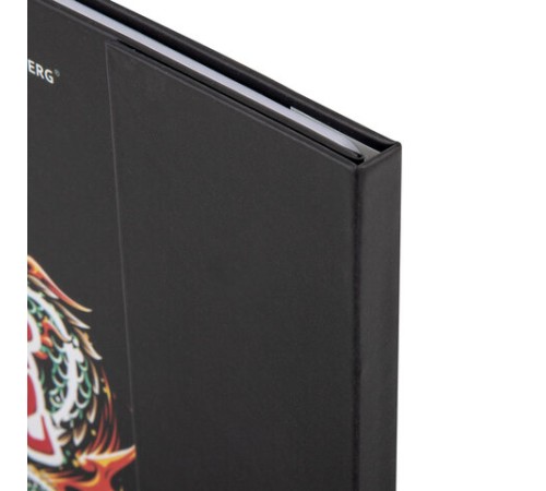 Дневник 1-11 класс 48 л., твердый, BRAUBERG, матовая ламинация, магнитный клапан, закладка-ляссе, с подсказом, 