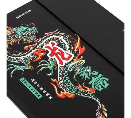 Дневник 1-11 класс 48 л., твердый, BRAUBERG, матовая ламинация, магнитный клапан, закладка-ляссе, с подсказом, 