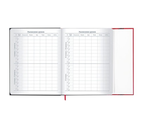 Дневник 1-11 класс 48 л., твердый, BRAUBERG, матовая ламинация, магнитный клапан, закладка-ляссе, с подсказом, 