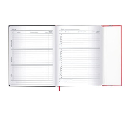 Дневник 1-11 класс 48 л., твердый, BRAUBERG, матовая ламинация, магнитный клапан, закладка-ляссе, с подсказом, 