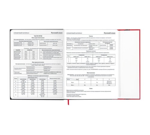 Дневник 1-11 класс 48 л., твердый, BRAUBERG, матовая ламинация, магнитный клапан, закладка-ляссе, с подсказом, 