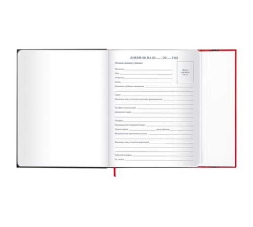 Дневник 1-11 класс 48 л., твердый, BRAUBERG, матовая ламинация, магнитный клапан, закладка-ляссе, с подсказом, 