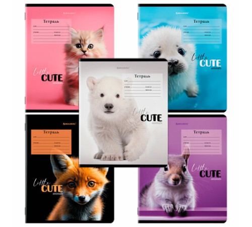 Тетрадь 12 л. BRAUBERG, клетка, обложка картон, CUTE ANIMALS, 107266