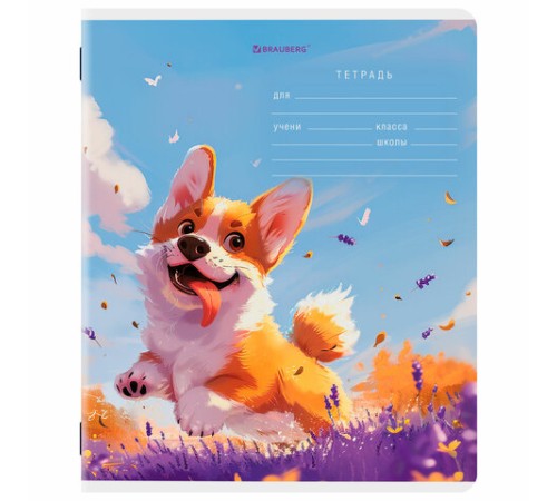 Тетрадь 12 л. BRAUBERG клетка, обложка картон, МИКС-1, 107268