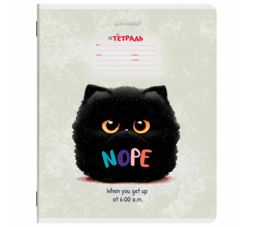 Тетрадь 12 л. BRAUBERG клетка, обложка картон, МИКС-1, 107268