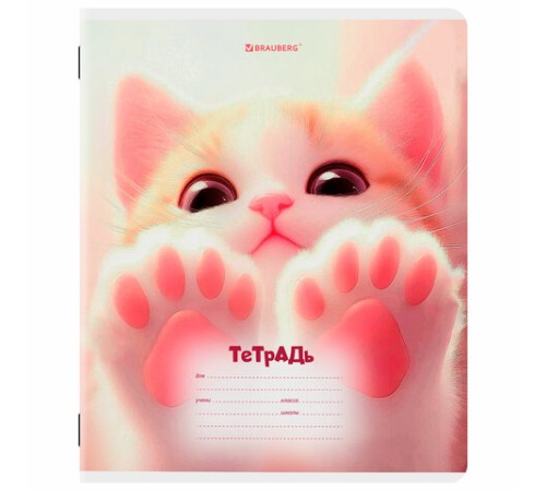 Тетрадь 12 л. BRAUBERG клетка, обложка картон, МИКС-1, 107268
