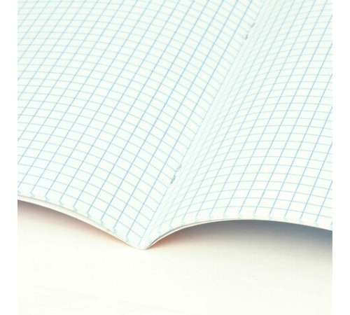 Тетрадь 12 л. BRAUBERG клетка, обложка картон, МИКС-2, 107269