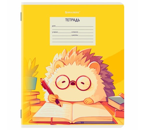 Тетрадь 12 л. BRAUBERG клетка, обложка картон, МИКС-2, 107269