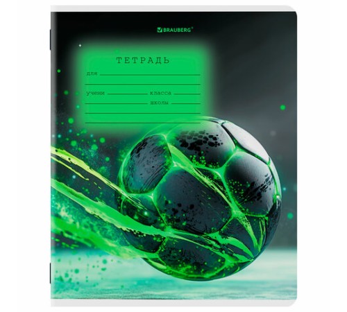 Тетрадь 12 л. BRAUBERG клетка, обложка картон, МИКС-3, 107270