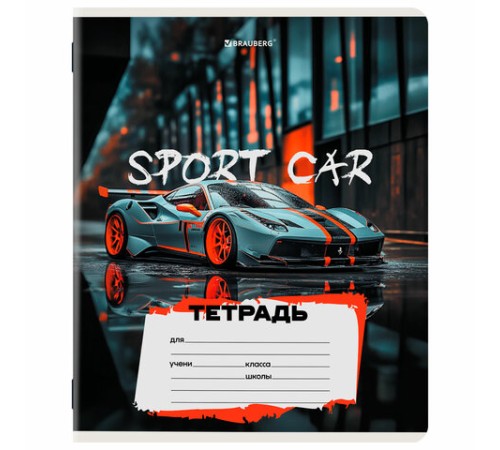 Тетрадь 12 л. BRAUBERG клетка, обложка картон, МИКС-3, 107270