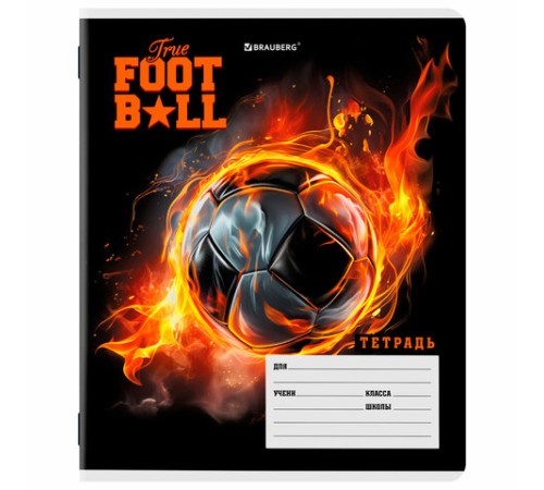 Тетрадь 12 л. BRAUBERG клетка, обложка картон, МИКС-3, 107270