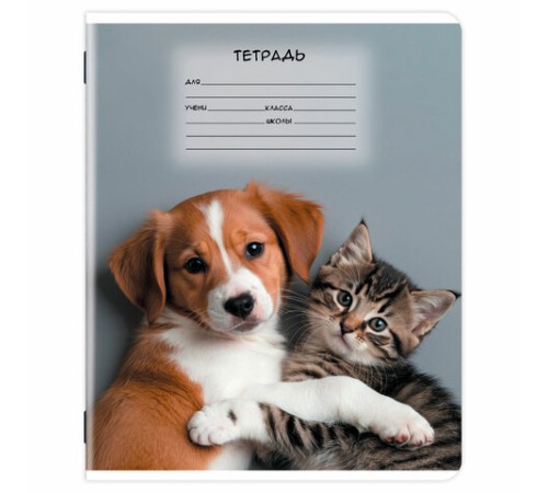 Тетрадь 12 л. ЮНЛАНДИЯ, клетка, обложка картон, МИКС-2, 107273