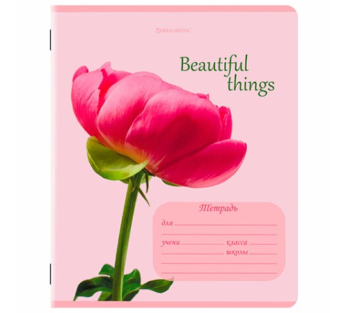 Тетрадь 12 л. BRAUBERG клетка, обложка картон, МИКС-4, 107276