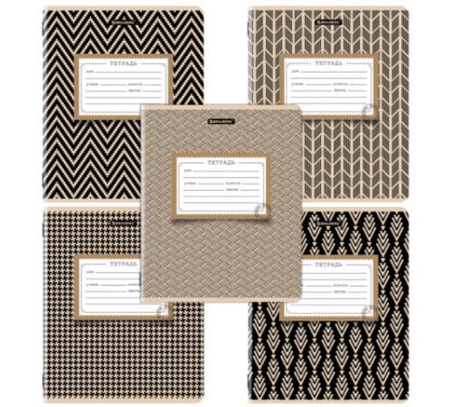 Тетрадь 12 л. BRAUBERG линия, обложка картон, TEXTURE, 107279