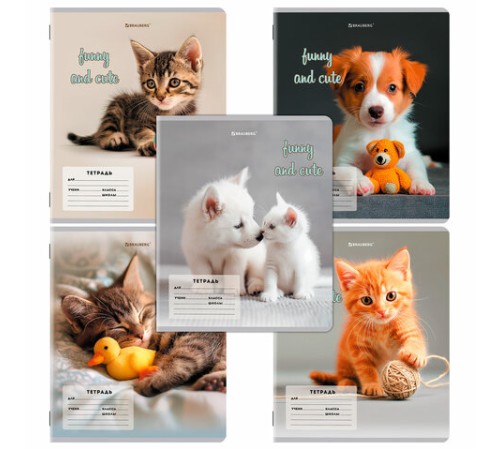 Тетрадь 12 л. BRAUBERG косая линия, обложка картон, CATS AND DOGS, 107288